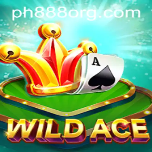 WildAce: A New Frontier in Gaming